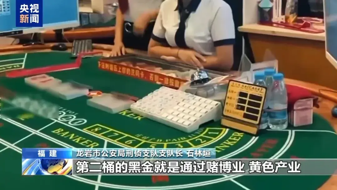 劉正祥、劉正琦等為首要分子的緬北果敢劉家犯罪集團涉嫌詐騙、敲詐勒索、非法拘禁、開設賭場、組織賣淫、販賣毒品以及組織他人偷越國(邊)境等多項罪名 (央視)