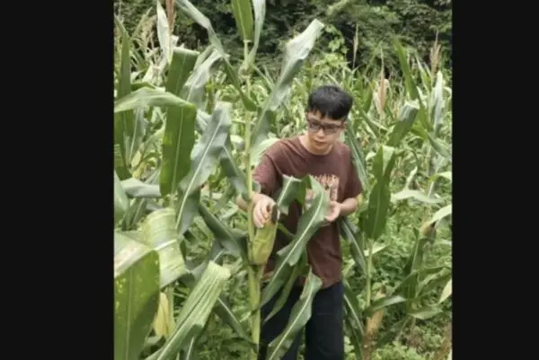 華為天才少年寧博宇離職，放下百萬年薪返鄉幫親戚販售玉米，他坦言工作久了缺乏成就感，時常對未來心裡沒底；實際上他已取得瑪麗居里學者獎學金，將前往瑞典皇家理工學院展開博士後研究。（來源：新浪微博）