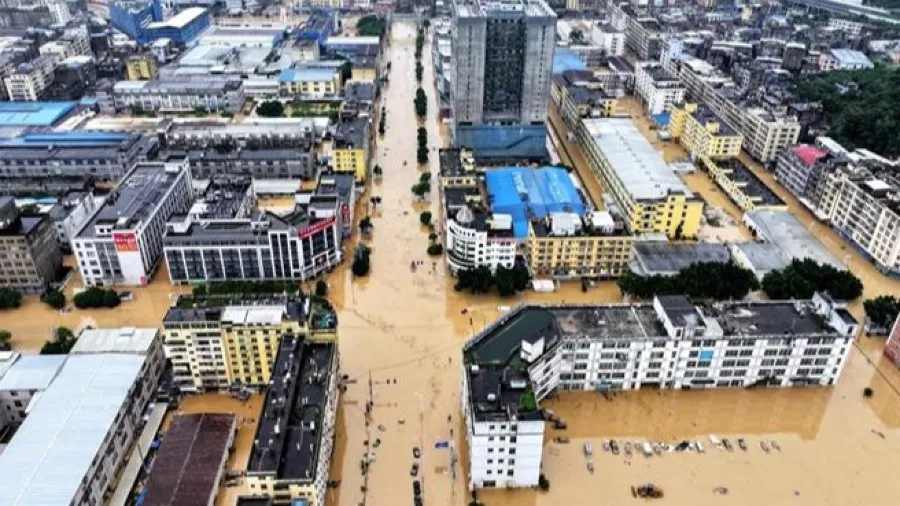 65年來最猛暴雨襲福建莆田！颱風沙德爾釀千年古橋沖垮、民眾受困靠牛奶撐命的封面圖片