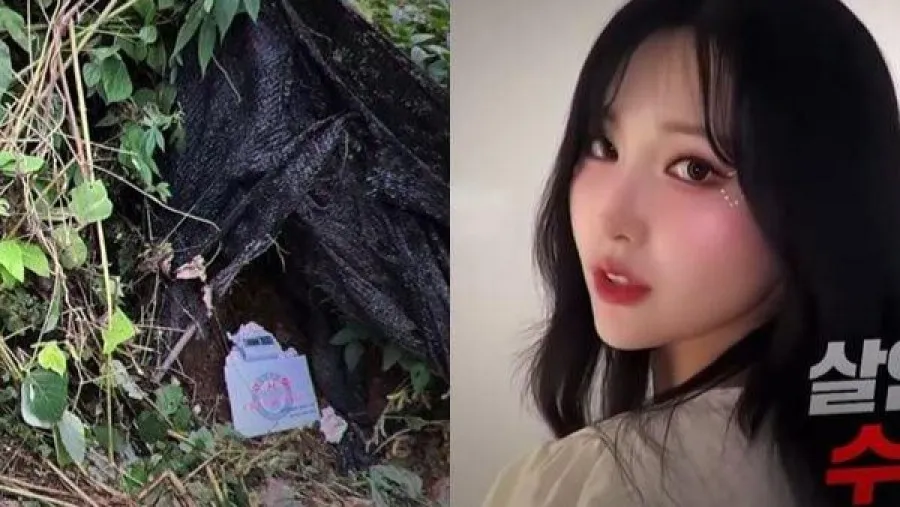 一億韓元打賞換來殺機?網紅尹智雅直播後30分遭殺棄屍山區,VIP金主兇手真面目曝光的封面圖片
