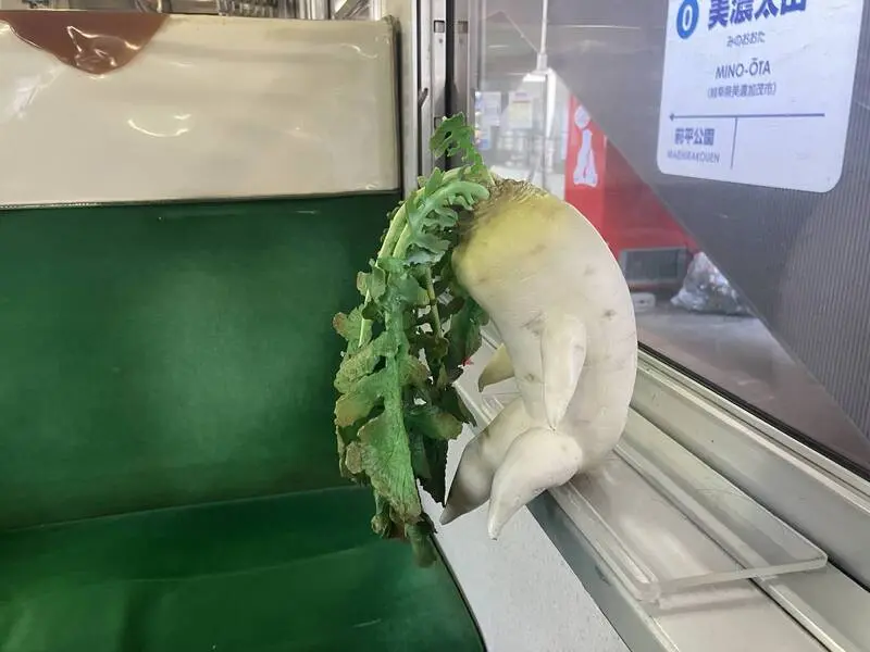 日本搭車竟遇「垂頭白蘿蔔」靜坐，網友：以為是有人假扮！（來源：rainsnow517@X）