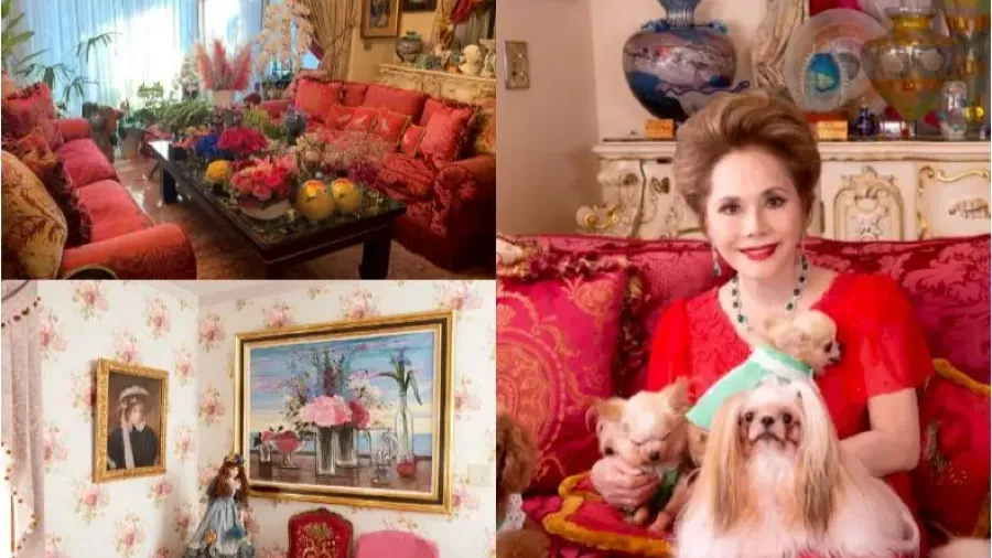 日本綜藝女星黛薇夫人涉傷害經紀人遭書類送檢，案由為愛犬死亡爭議的封面圖片