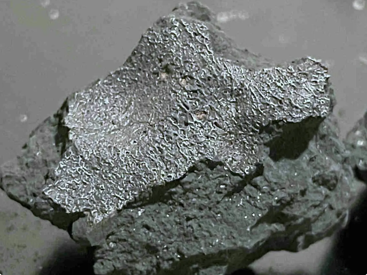 希爾斯伯勒隕石（Hillsborough）（來源：Astrobiology@X）