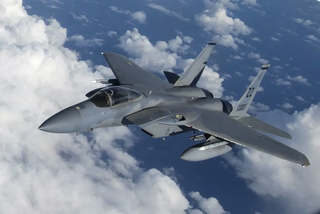 今年4月遭伊朗飛彈擊落的美軍F-15E。（圖／擷取自美國空軍官網）