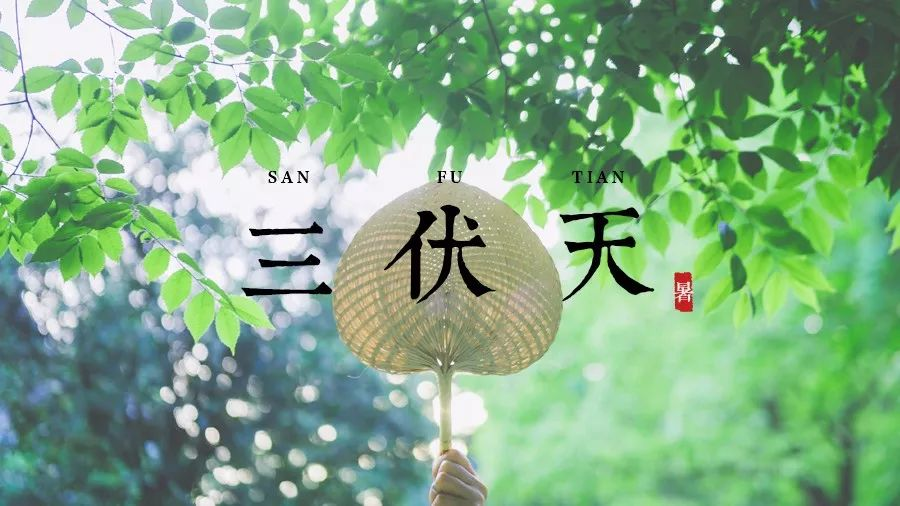 三伏天（來源：搜狐）