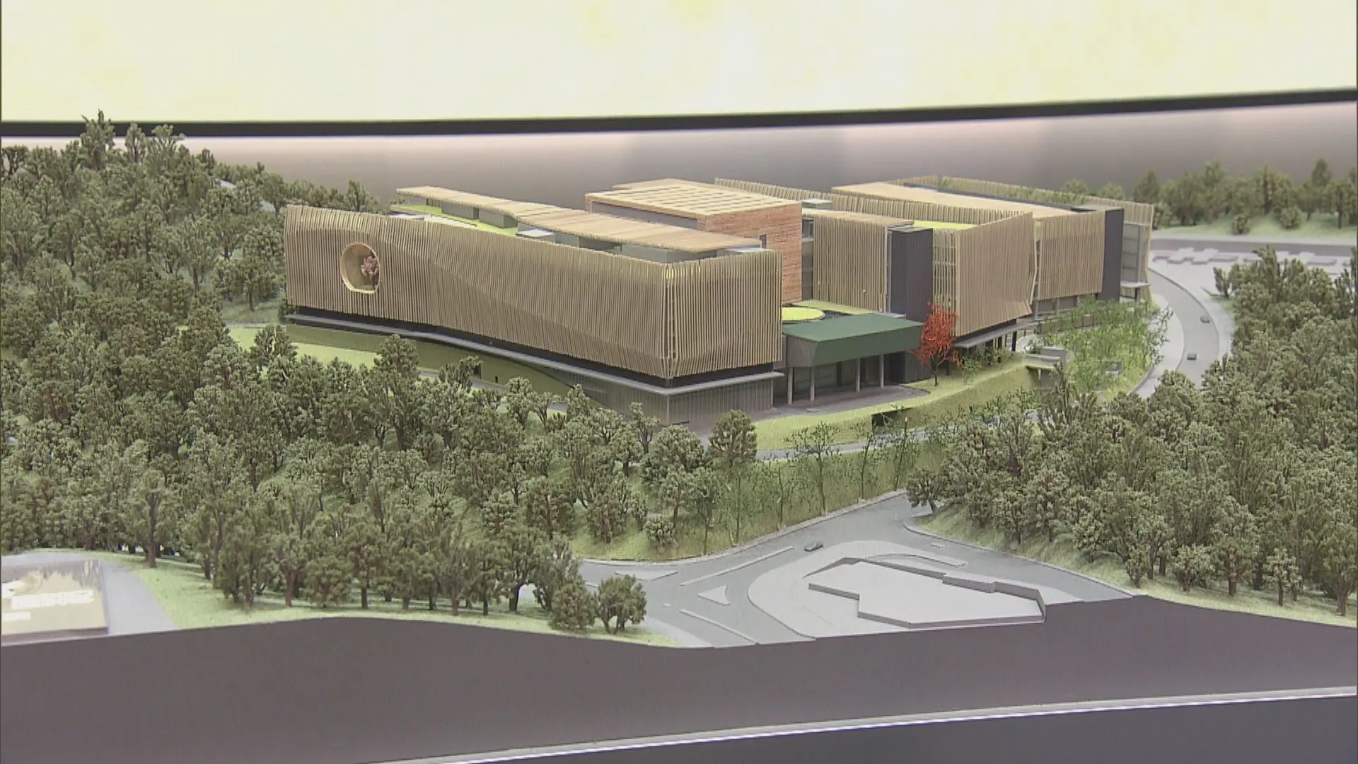 在推動本地中醫藥發展方面，醫院已與香港中文大學、浸會大學、香港大學三所設有中醫相關學院的高校，以及醫院管理局、18 區中醫診所暨教研中心建立合作機制。(圖片：網絡翻攝)