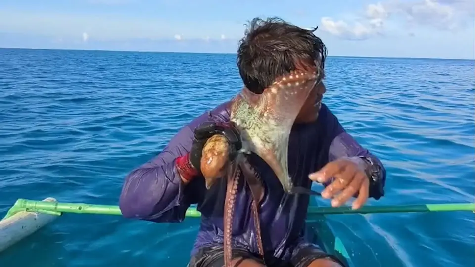 菲律賓漁民塞凡特斯於公主港海域捕魚時，遭捕獲的章魚突襲，觸手纏臉封嘴險窒息，他持竹竿奮力擊打自救，成功脫險，過程驚險萬分。（來源：ABC@X）