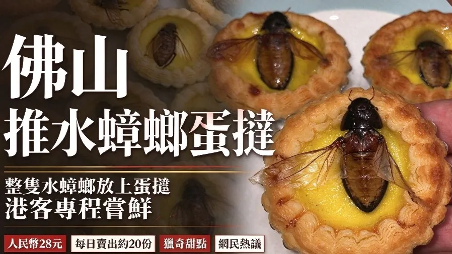 佛山餐廳推出龍蝨蛋撻 每份 3 顆售價 33 港元 港客專程到場嘗鮮的封面圖片
