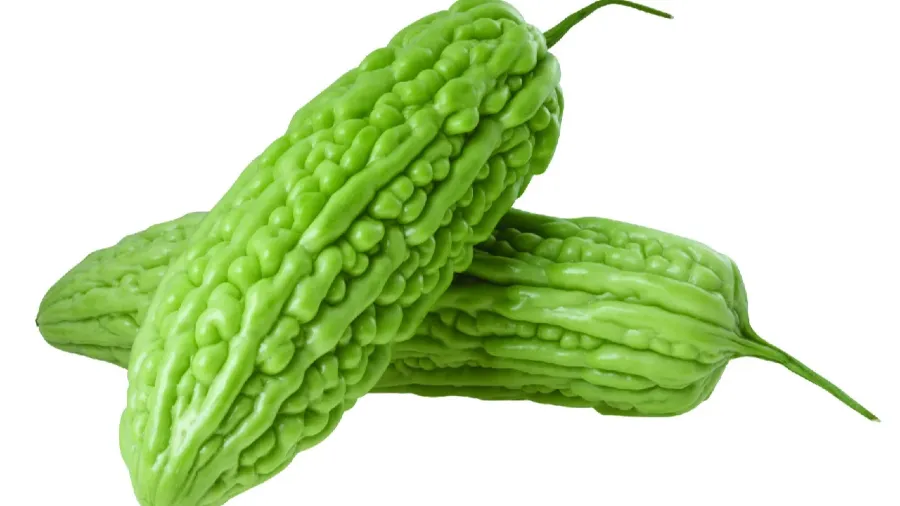 苦瓜的苦竟有「根」？切掉這部分，從此無苦澀！的封面圖片