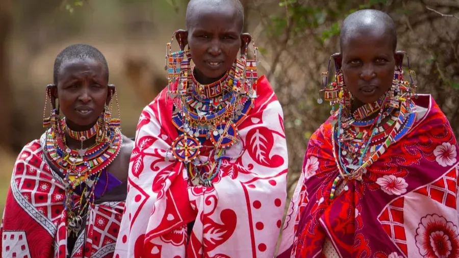 為何14年禁令成空文？肯亞馬賽部落8成女孩仍被強施割禮的封面圖片