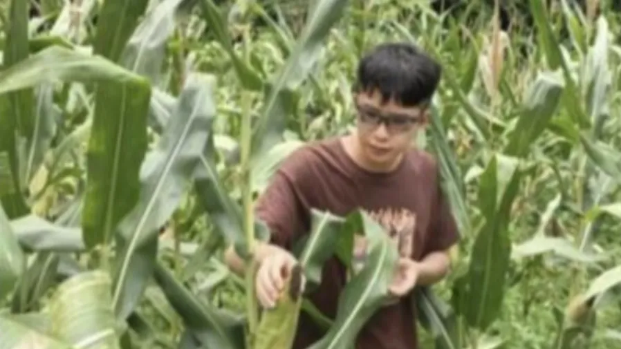 百萬年薪留不住！華為天才少年寧博宇離職，坦言對未來心裡沒底的封面圖片