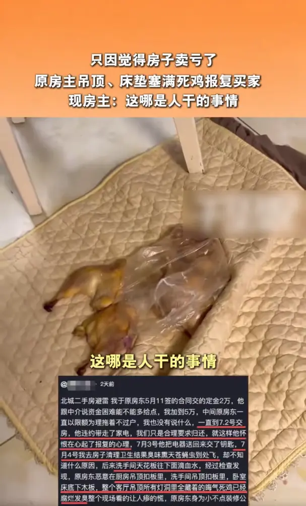 中國內地安徽合肥一名楊姓女子購入二手房，順利完成交易收屋後，屋內飄散刺鼻腐臭，天花板更滲出紅色血水。她拆開裝潢後，在全屋多處發現多隻腐爛死雞，疑是前屋主不滿售價虧本，刻意惡意報復，目前警方已介入，房仲協助其提告維權。（來源：小紅書）