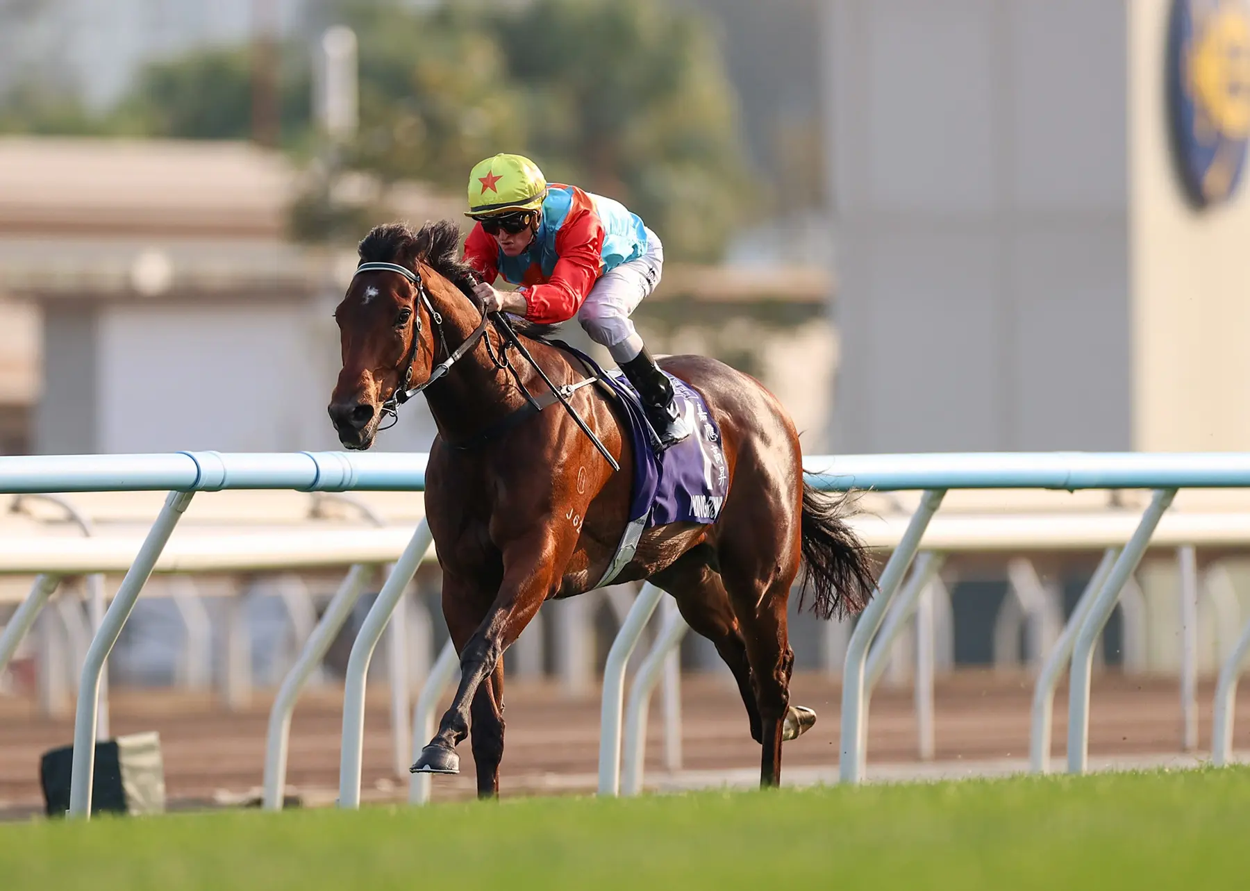 應屆香港馬王「嘉應高昇」今日（2026年2月22日，農曆年初六）登陸沙田馬場，出戰第8場一級賽「女皇銀禧紀念盃」（1400米），最終以約三個馬位的絕對優勢輕鬆衝線。(圖：賽馬會)