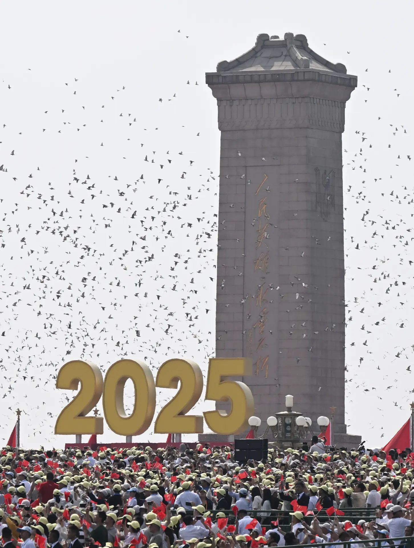 紀念大會現場放飛和平鴿。