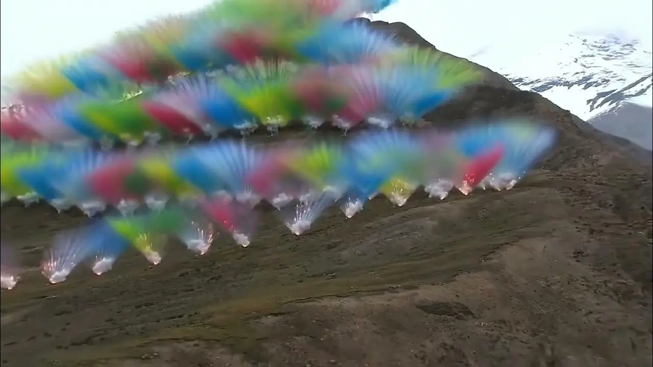 植物學博士顧有容表示草氈層一旦遭到破壞，可能需要數十年甚至上百年才能恢復。(網絡截圖)