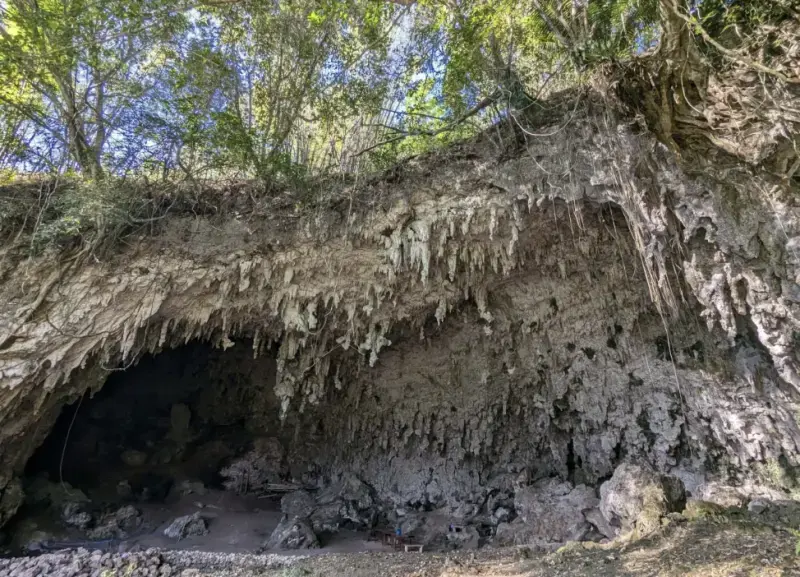 Sudarmaji的「家」背靠Anjasmoro山峰，前方有溪流環繞，像一道天然屏障，把外界的紛擾都隔在了門外，幾乎成了與世隔絕的小世界。（來源：X）