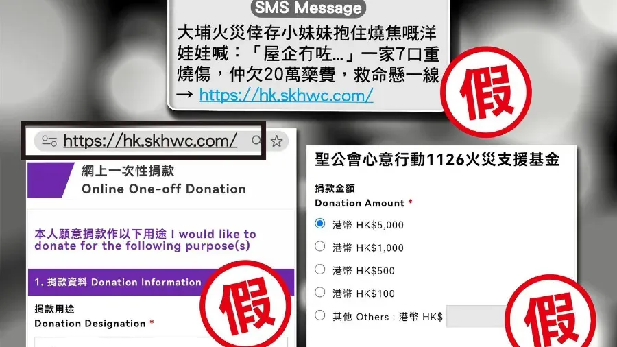 假社福網頁詐捐事件：27歲內地婦被捕，警方及時攔截護民財，暫無市民受騙的封面圖片