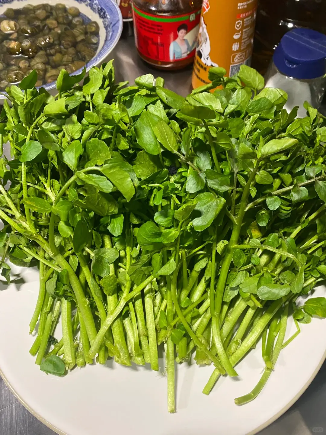 走進粵港澳地區的菜市場，西洋菜永遠是攤位上的常客，無論是清湯滾煮還是蒜蓉快炒，都是當地家庭餐桌上的家常菜。（示意圖來源：小紅書網友）