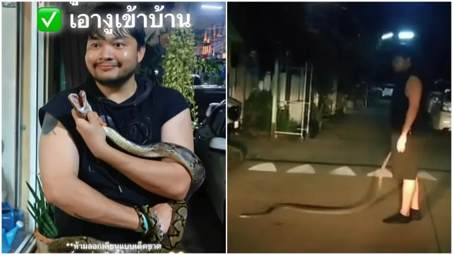 泰男喝醉瘋狂操作，抱野生大蟒蛇回家醒來全忘光的封面圖片