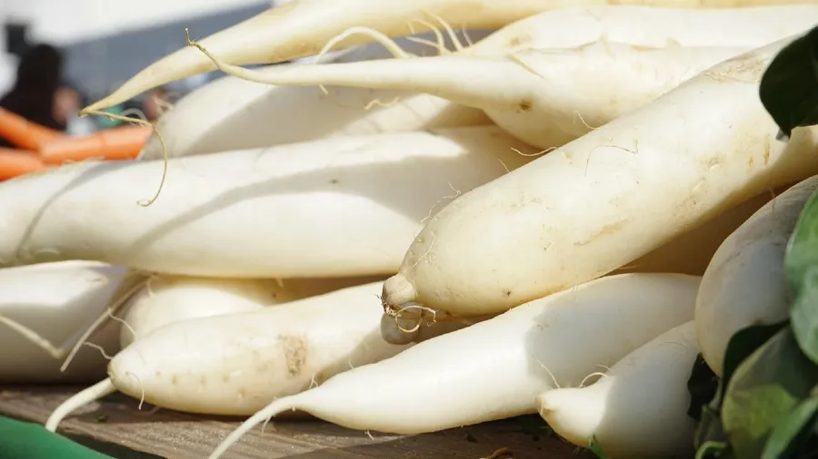 生吃vs熟吃，哪種白蘿蔔吃法才是你的「體質天菜」的封面圖片