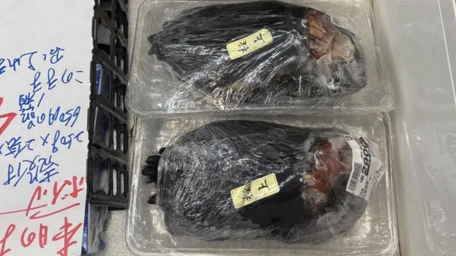 日本超市竟賣帶毛熊掌？標價5萬5日圓嚇傻網友！的封面圖片