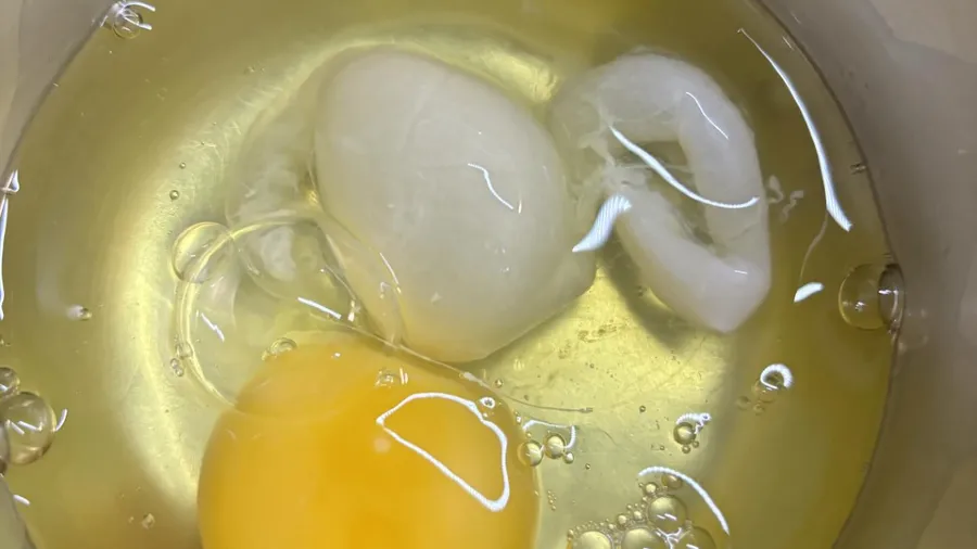 甜點店打蛋打出「異形軟囊」？網友看傻：以為要孵化了的封面圖片