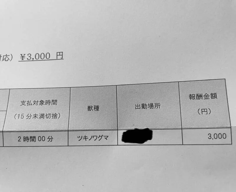 人命換3000日圓？日本熊害殺12人竟這樣對待「救命獵人」？（來源：nekota_gorou@X）