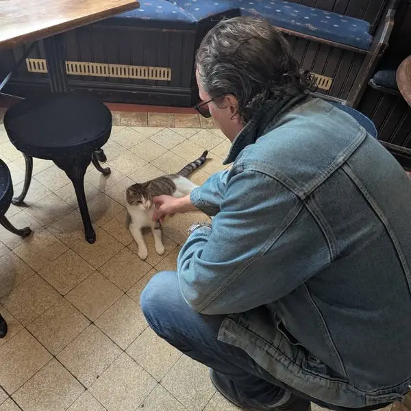 住在英國林肯郡南部北海克姆（North Hykeham）的小貓花生（Peanut），最近憑著一連串「離家冒險」成了當地小有名氣的網紅。（來源：Vat and Fiddle @FB）