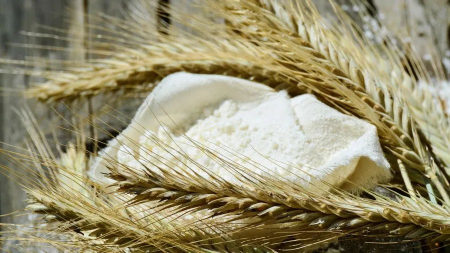 大米不磨粉、小麥必磨面，居然不是習慣是「天注定」？！的封面圖片