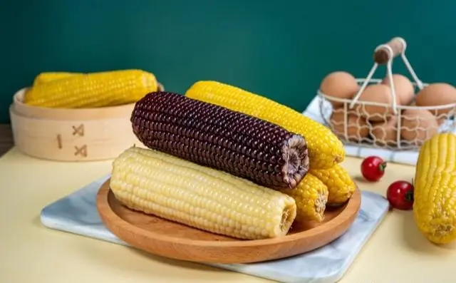 甜玉米與糯玉米品種、口感不同，甜玉米低GI低熱量適合控重控糖，糯玉米熱量高升糖快需減主食攝入，吃玉米記住3個竅門，3類人群需格外注意。（示意圖來源：網絡）