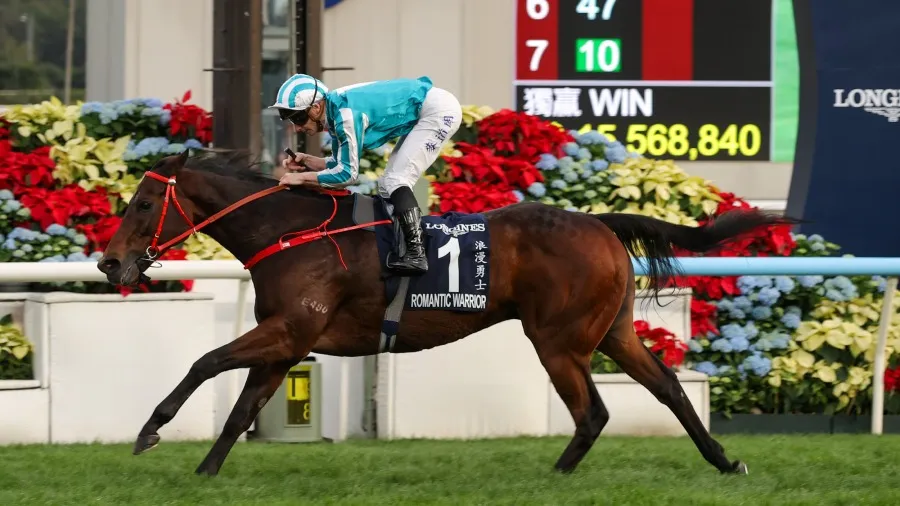 香港盃四連霸 浪漫勇士創歷史 馬主劉栢輝與國際家居零售關係揭秘 嘉應高昇16連勝平紀錄的封面圖片