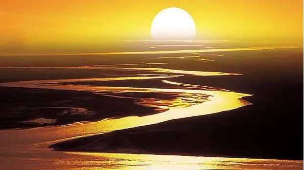 黃河的浪花滾滾向東，一路裹著泥沙奔騰到渤海時，還帶著一群「不請自來的乘客」——鯽魚、鯉魚這些平日里在淡水裡游弋的小魚，就這樣糊裡糊塗被衝進了鹹鹹的大海。（示意圖來源：網絡）