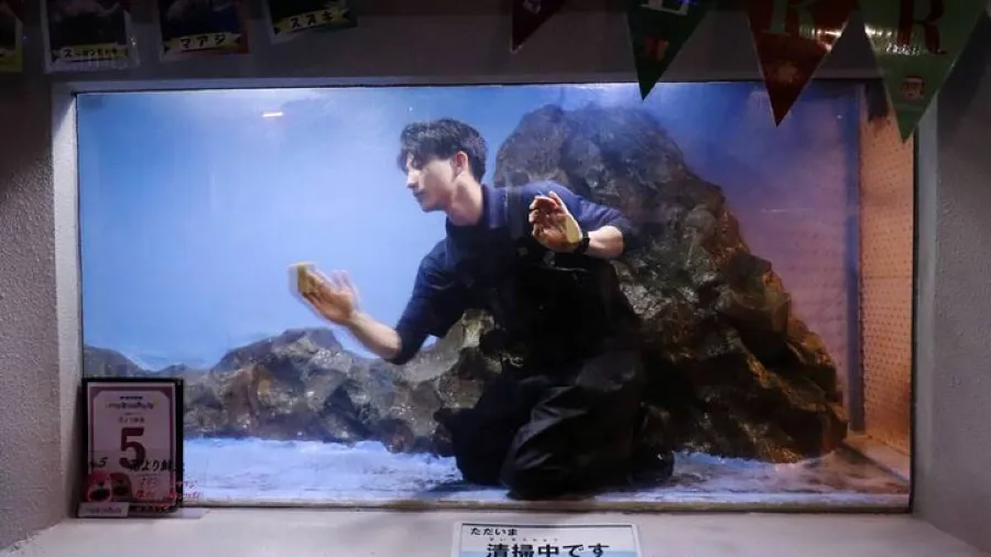 誰說水族館只有魚？日本這間館的「型男飼育員」才是真正的流量密碼！的封面圖片