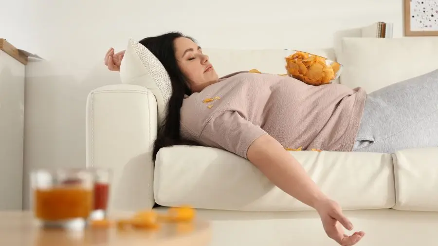 現代人工作繁忙、久坐不動的生活方式會存在內臟脂肪過多的情況。
