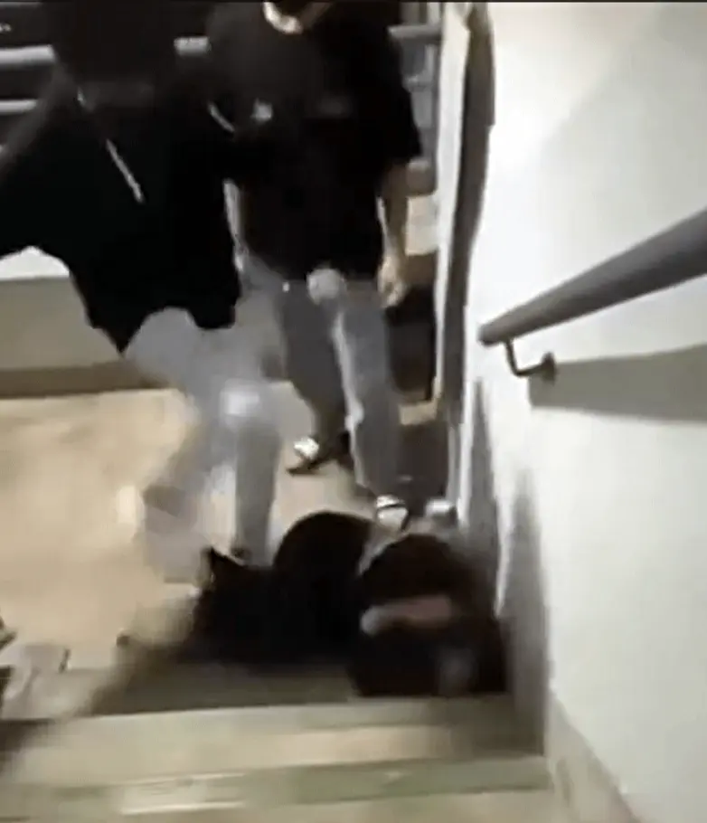 陳女無力反抗，只能雙手護頭蜷縮，其後被扯跌在地，頭部屢遭按向梯級，繼續承受拳打腳踢，全程如「人肉沙包」般挨揍，估計被擊數十下。(圖：視頻翻攝)