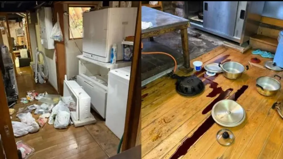 日本熊患肆虐猛熊一掌打凹引擎蓋 闖入旅館大肆破壞的封面圖片