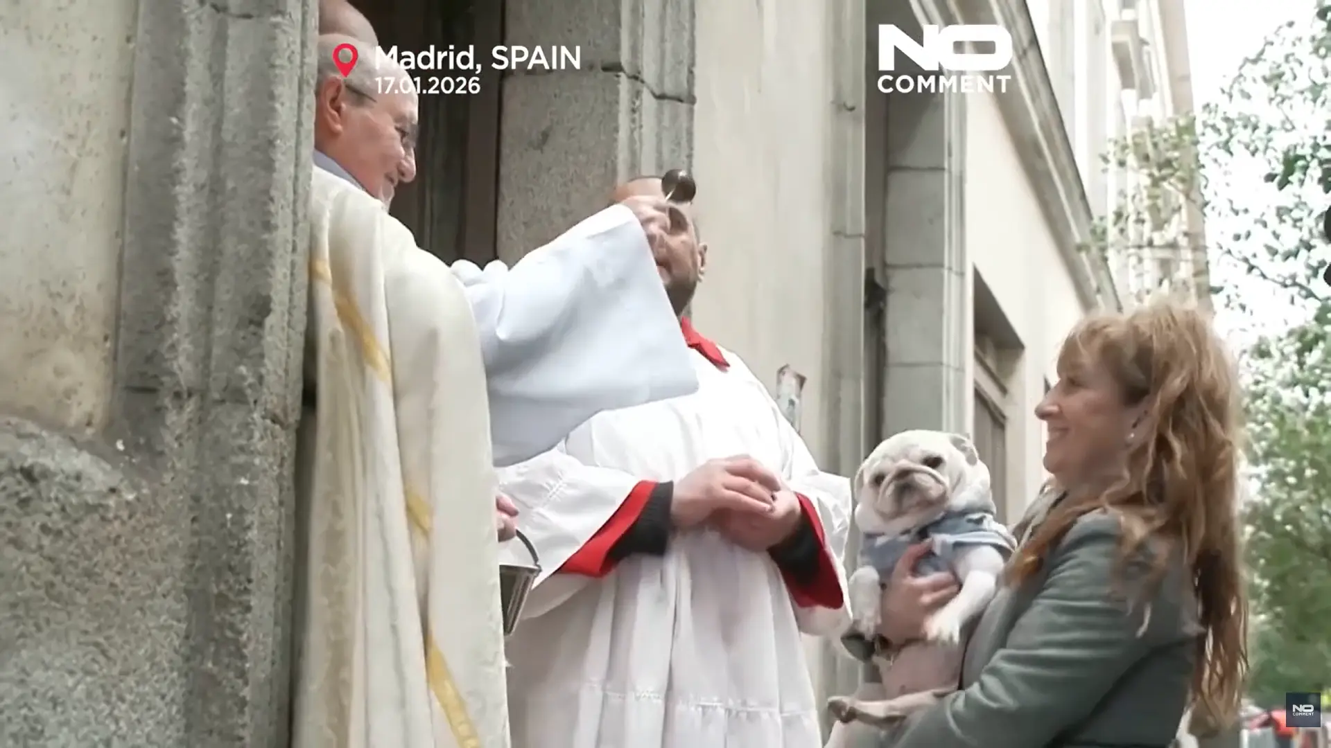 馬德里的貓狗皆以聖水受福。（來源：No Comment TV@YouTube）