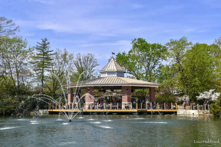 美國辛辛那提動物園（Cincinnati Zoo）（來源：Cincinnati Zoo官網）