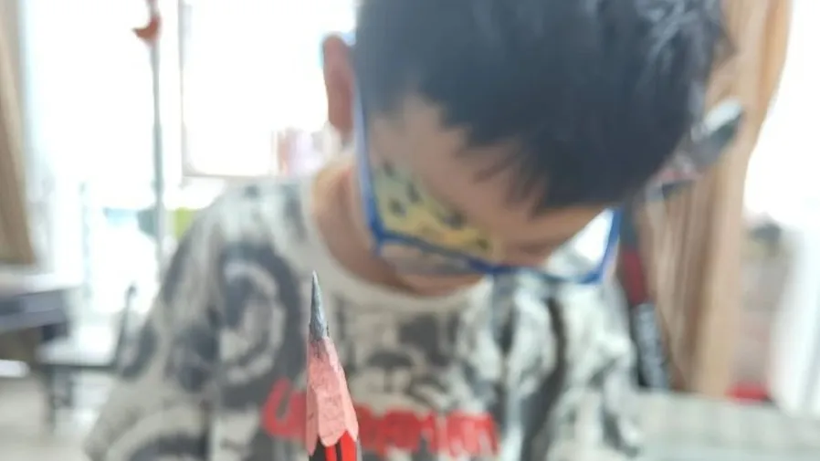 江西男孩被戳傷左眼  老師塗豬油消腫致感染失明  幼兒園急救失誤  後續治療費240萬的封面圖片