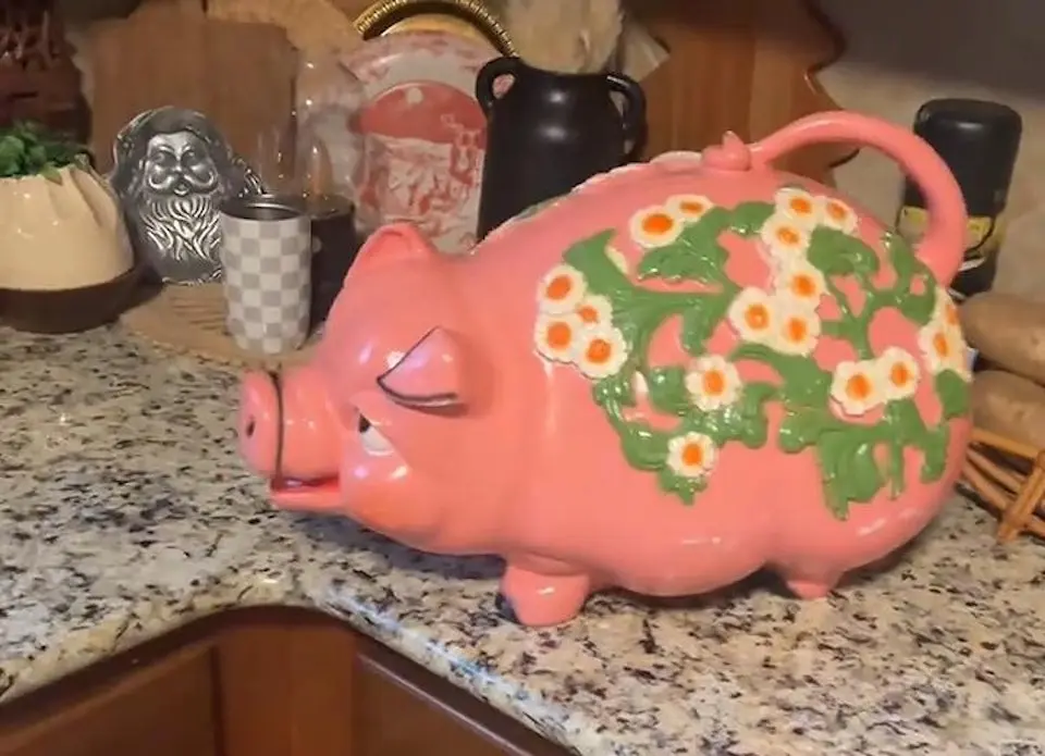 醜萌小豬藏黃金！10.99美元買的存錢罐，竟讓美國女子狂賺兩千美元。（視頻截圖來源：miles8katrina@TikTok）