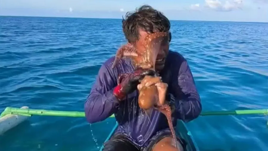 菲律賓漁夫捕魚突遇逆襲！章魚纏頭封嘴險窒息，奮力搏鬥才脫險的封面圖片