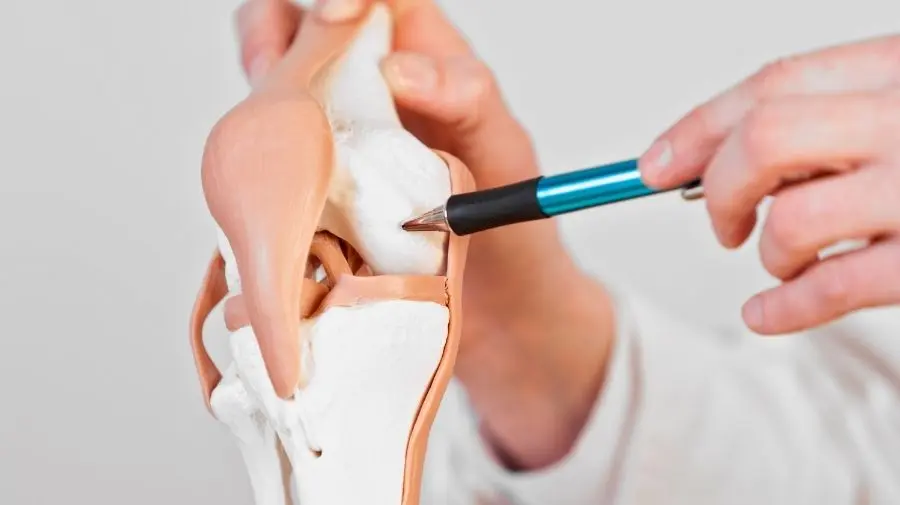 退化性關節炎，是一種關節長期磨損、軟骨逐漸變薄甚至消失的過程。