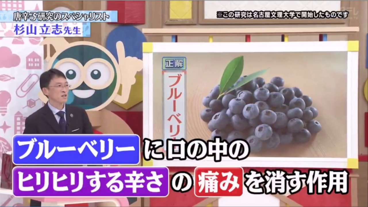 嗜辣怕辣？日本學者杉山立志及其團隊經研究，在電視節目「世界一受けたい授業」介紹藍莓解辣勝牛奶等，細嚼或冷藏佳，酸奶等也可解辣。（來源：「世界一受けたい授業」節目截圖）
