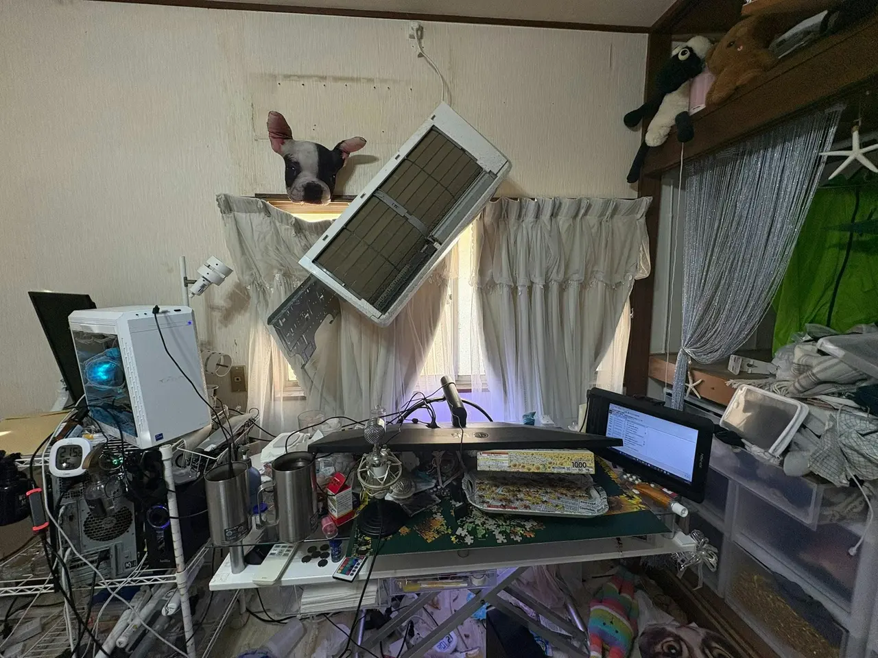 日本直播主Himawari（ひまわり）直播時遭冷氣砸中，點名Japanet（ジャパネット），後證實冷氣非該平台購買，平台未追究，引發網絡熱議。（來源：himawari2570@X）