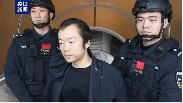 陳志其後在柬埔寨被逮捕，並移送中國受審，央視曾公布陳志遭押解下機的畫面。（央視）