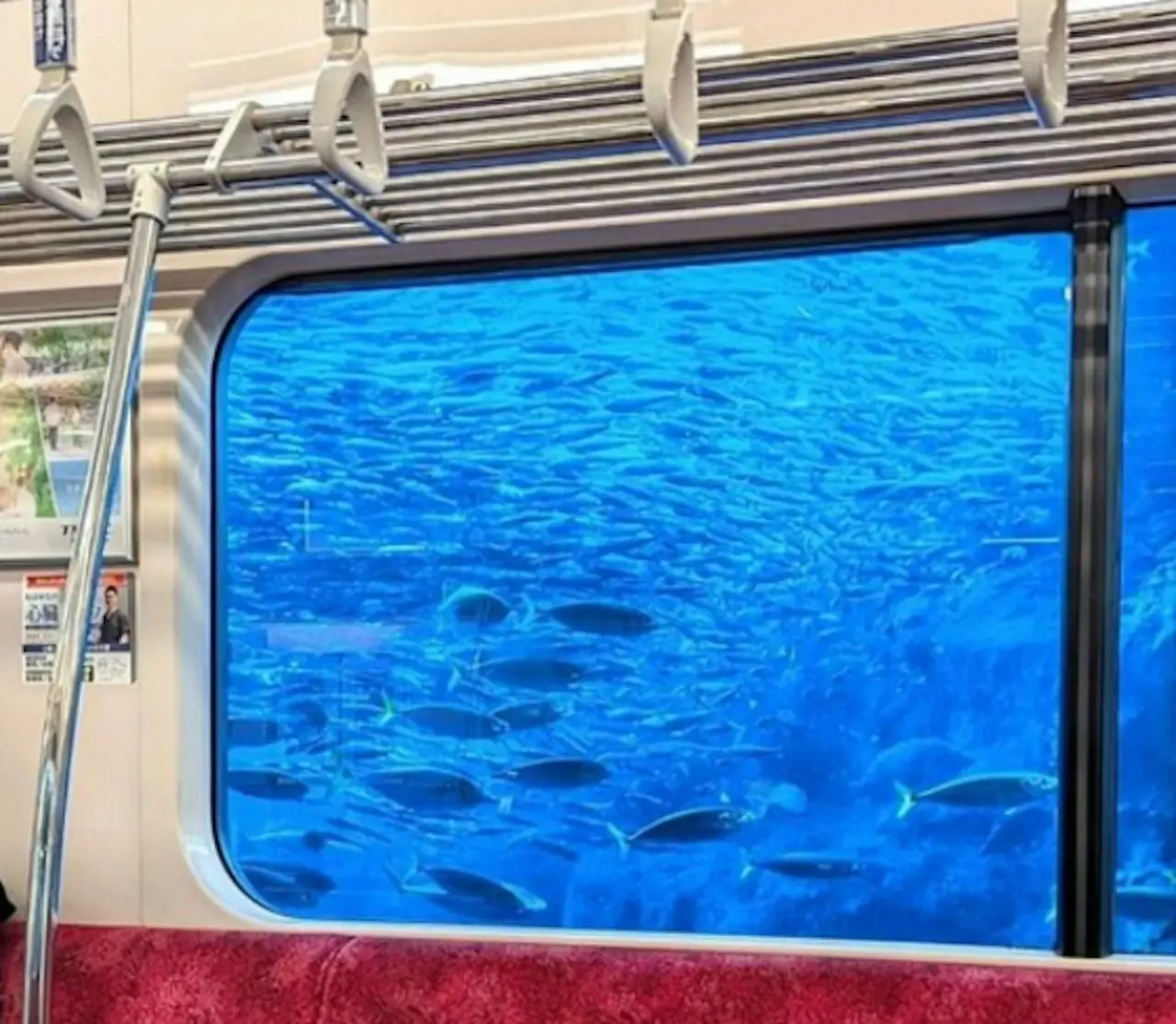 新江之島水族館透過特製看板，搭配電車停靠視角落差，讓車窗窗外瞬間化為幽藍深海與魚群景致。（來源：livedoornews@X）